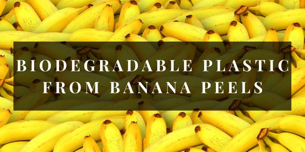 Le plastique biodégradable des peaux de bananes