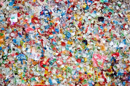 Wie schädigt Kunststoff die Umwelt?