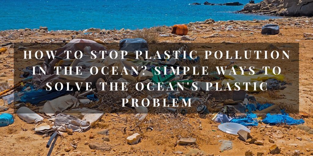 How To Stop Plastic Pollution In The Ocean? Simple Ways To Solve The Ocean's Plastic Problem