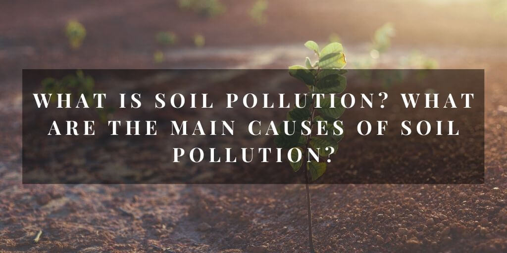 What is soil pollution? What are the main causes of soil pollution?