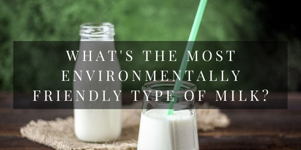 What's The Most Environmentally Friendly Type Of Milk?