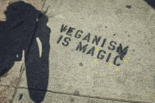 Når Begynte Veganismen_ en kort historie om den veganske bevegelsens Magi